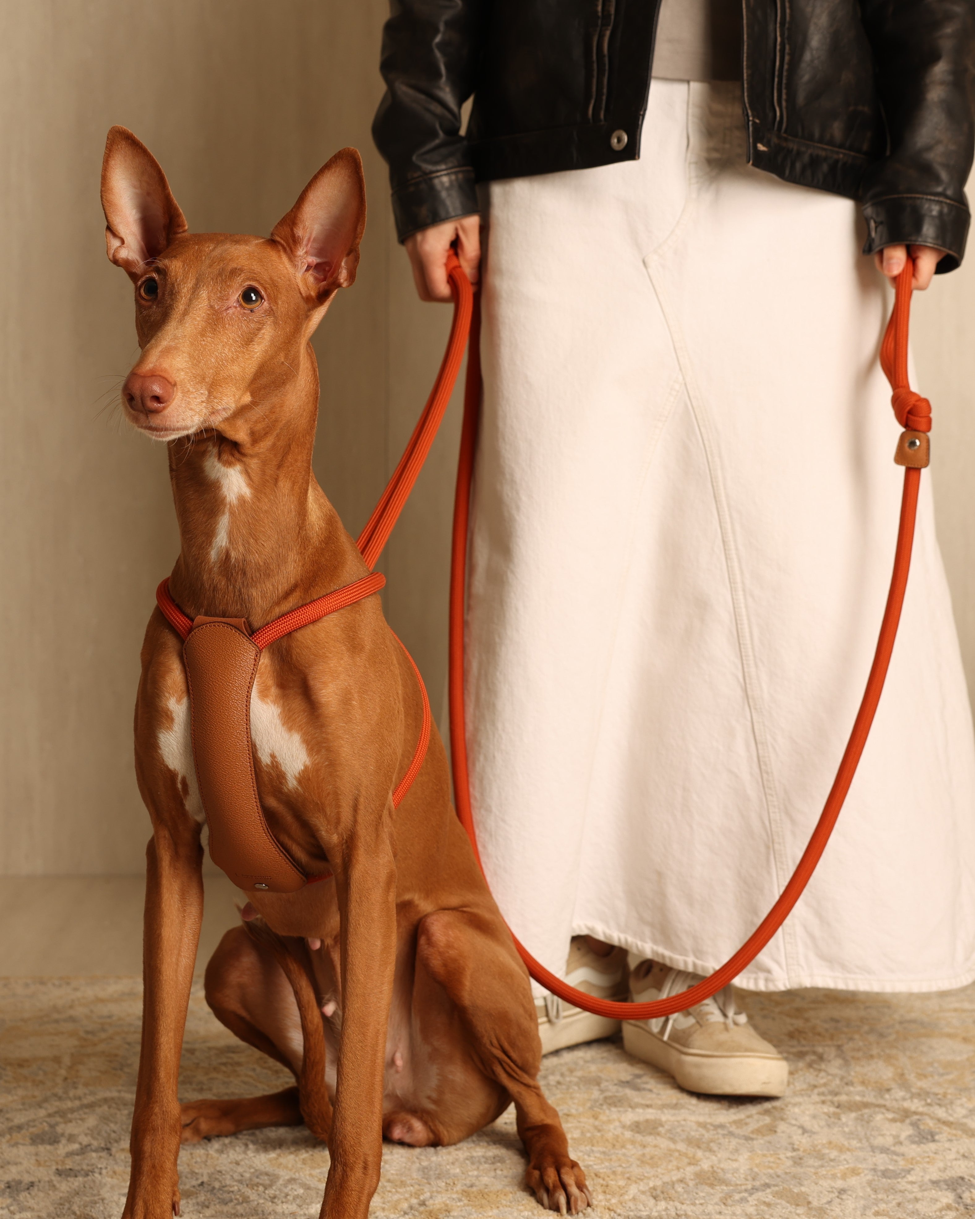 All-In-One Harness ORANGE