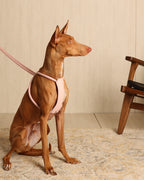 All-In-One Harness PINK