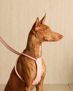 All-In-One Harness PINK