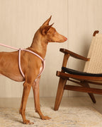 All-In-One Harness PINK