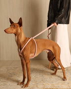 All-In-One Harness PINK