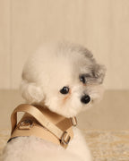 Saddle Harness BEIGE