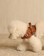 Saddle Harness CAMEL