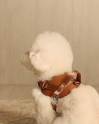 Saddle Harness CAMEL