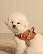 Saddle Harness CAMEL