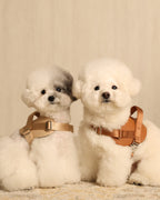 Saddle Harness BEIGE