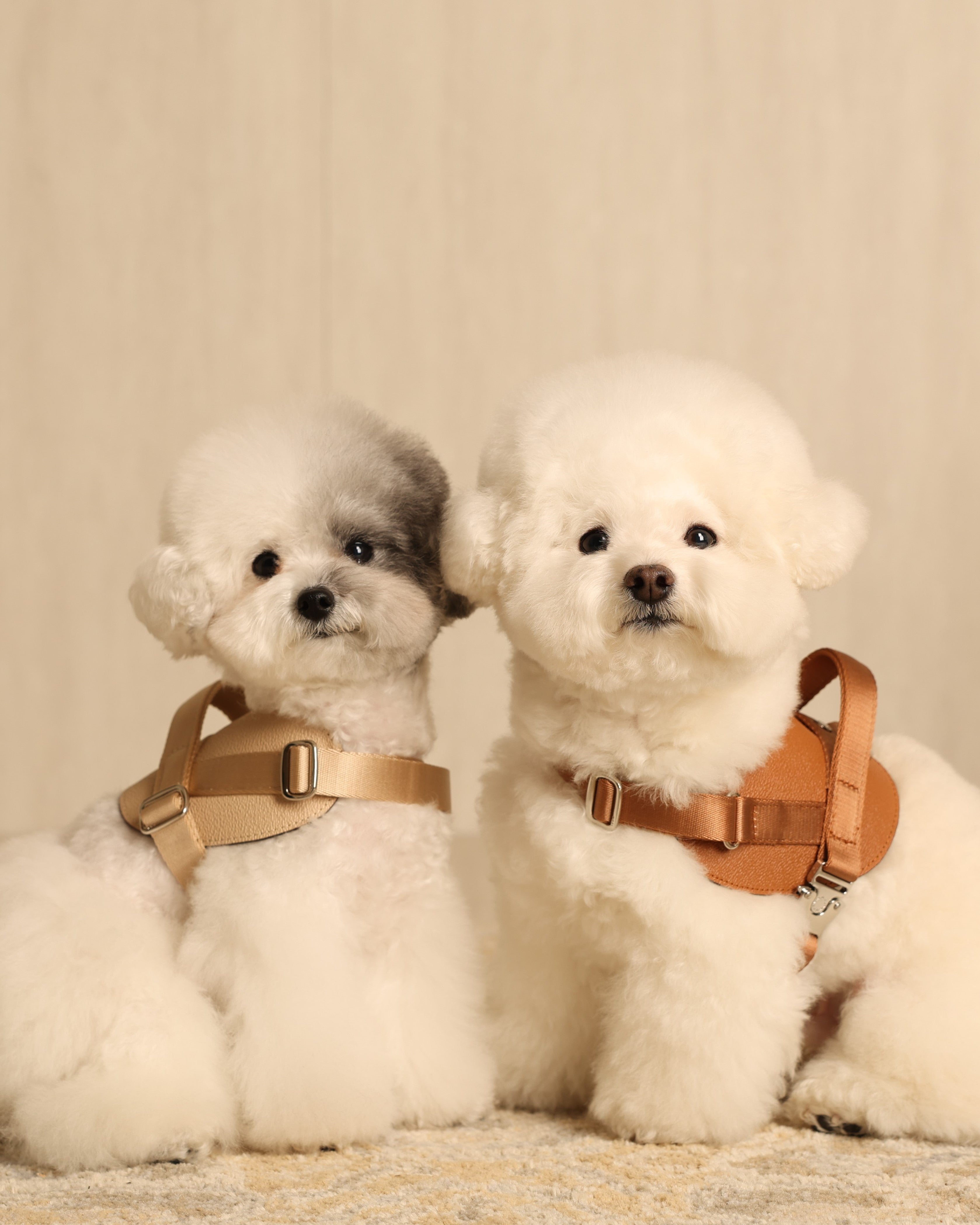 Saddle Harness BEIGE
