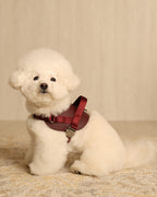 Saddle Harness BURGUNDY