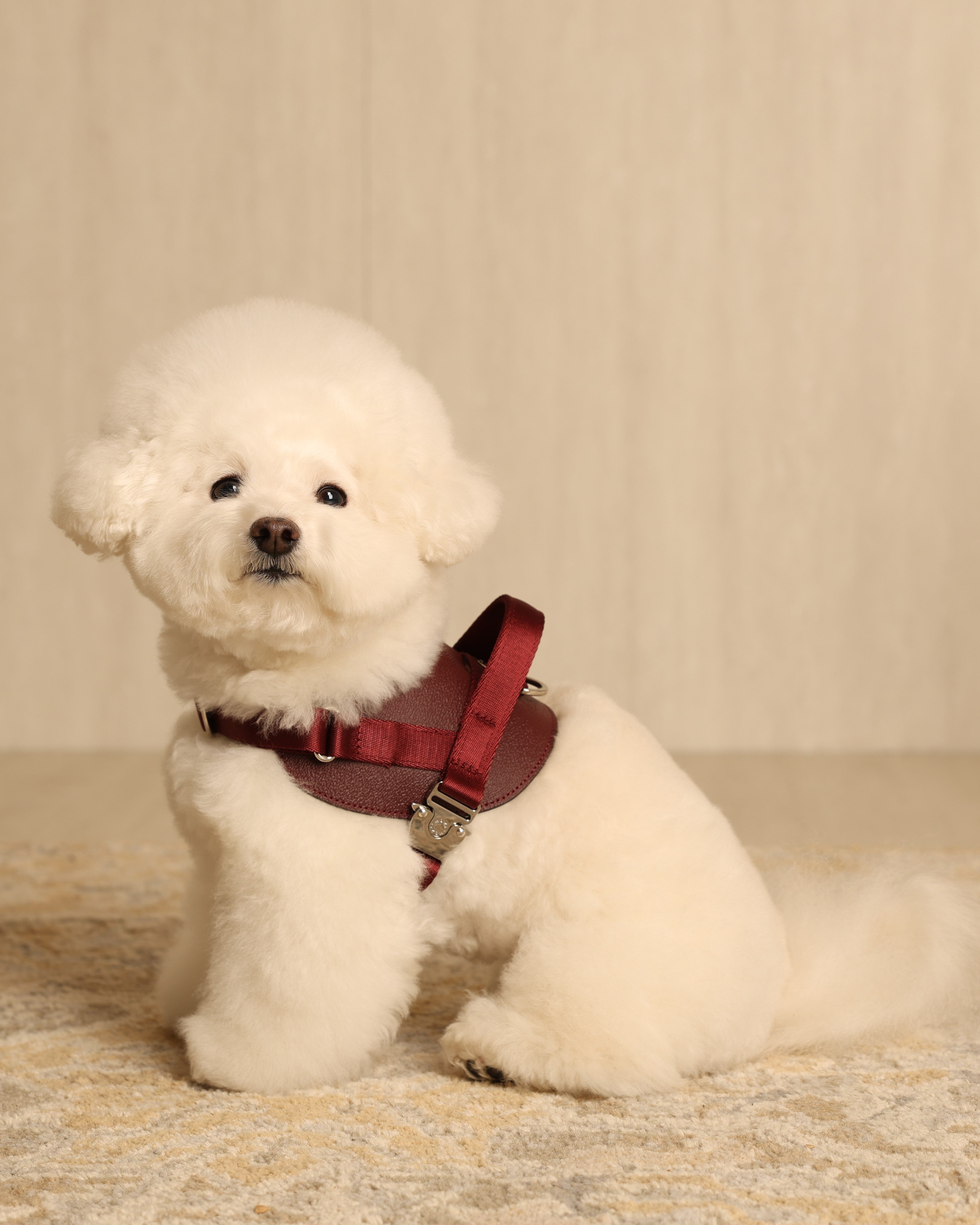 Saddle Harness BURGUNDY