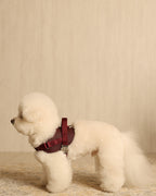 Saddle Harness BURGUNDY