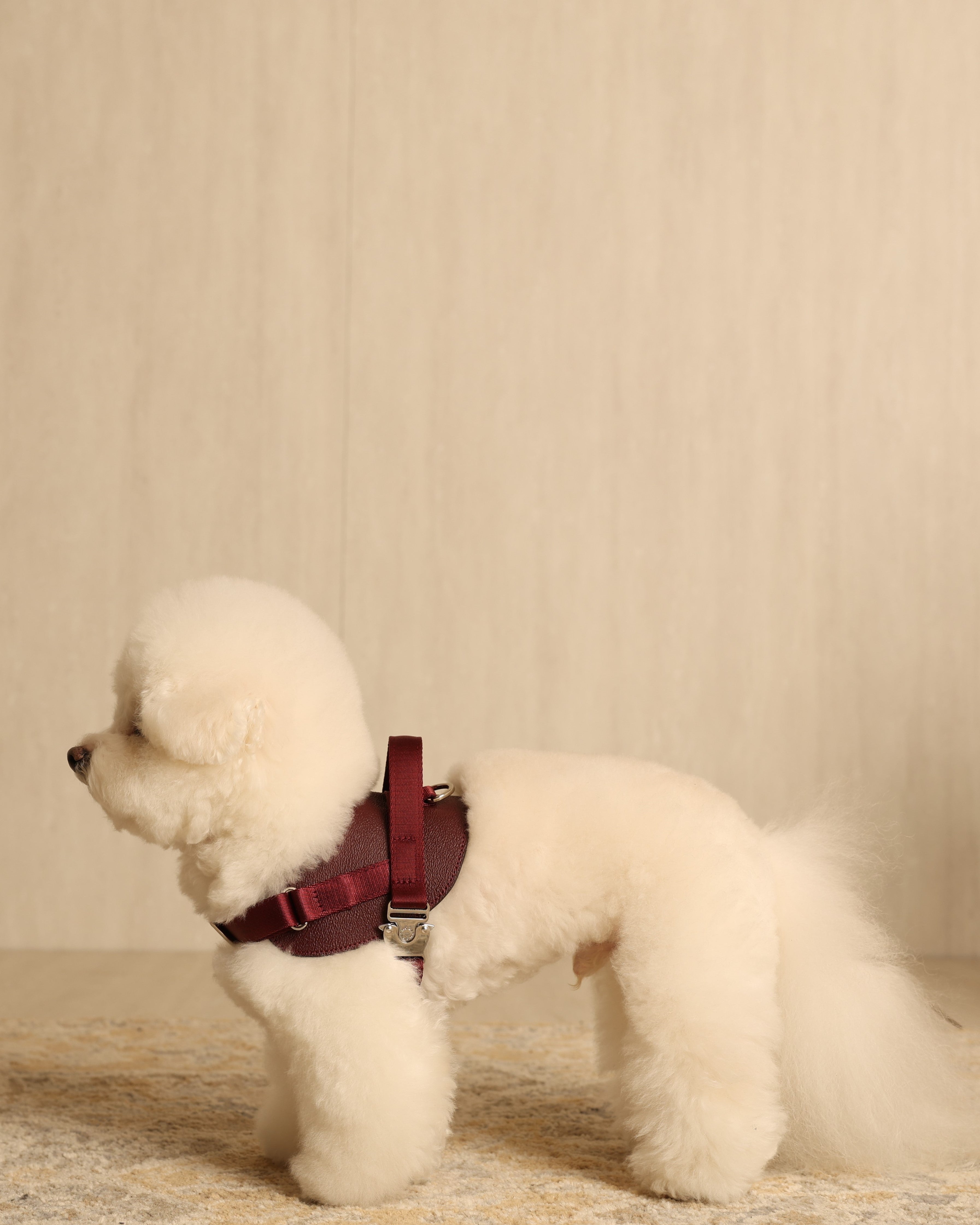 Saddle Harness BURGUNDY