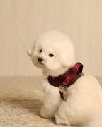 Saddle Harness BURGUNDY