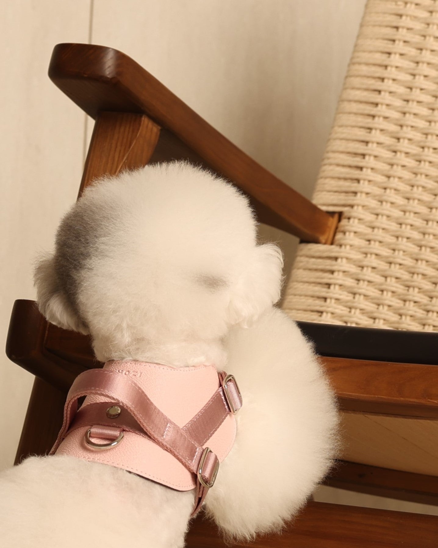 Saddle Harness PINK