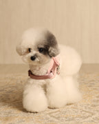 Saddle Harness PINK