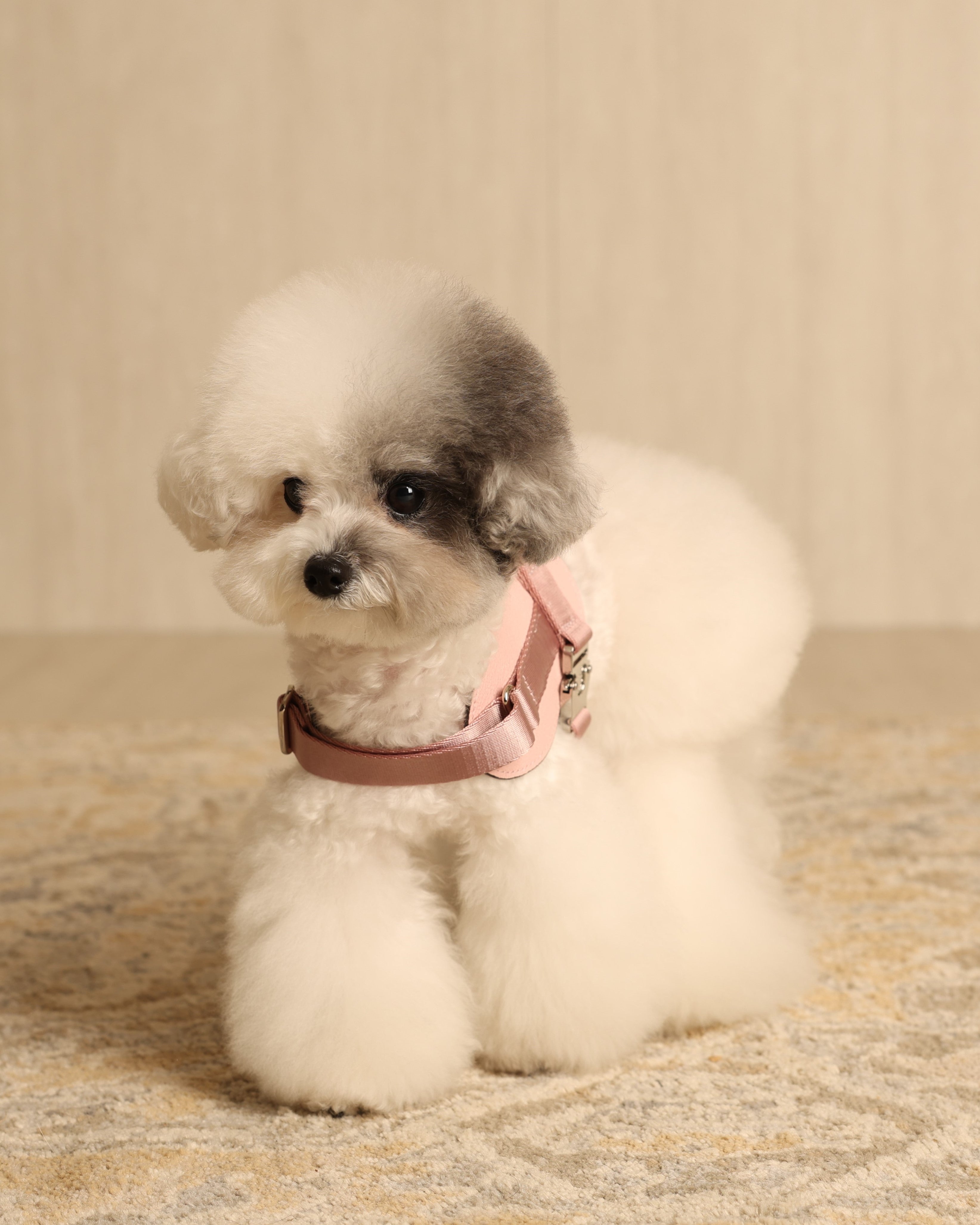 Saddle Harness PINK