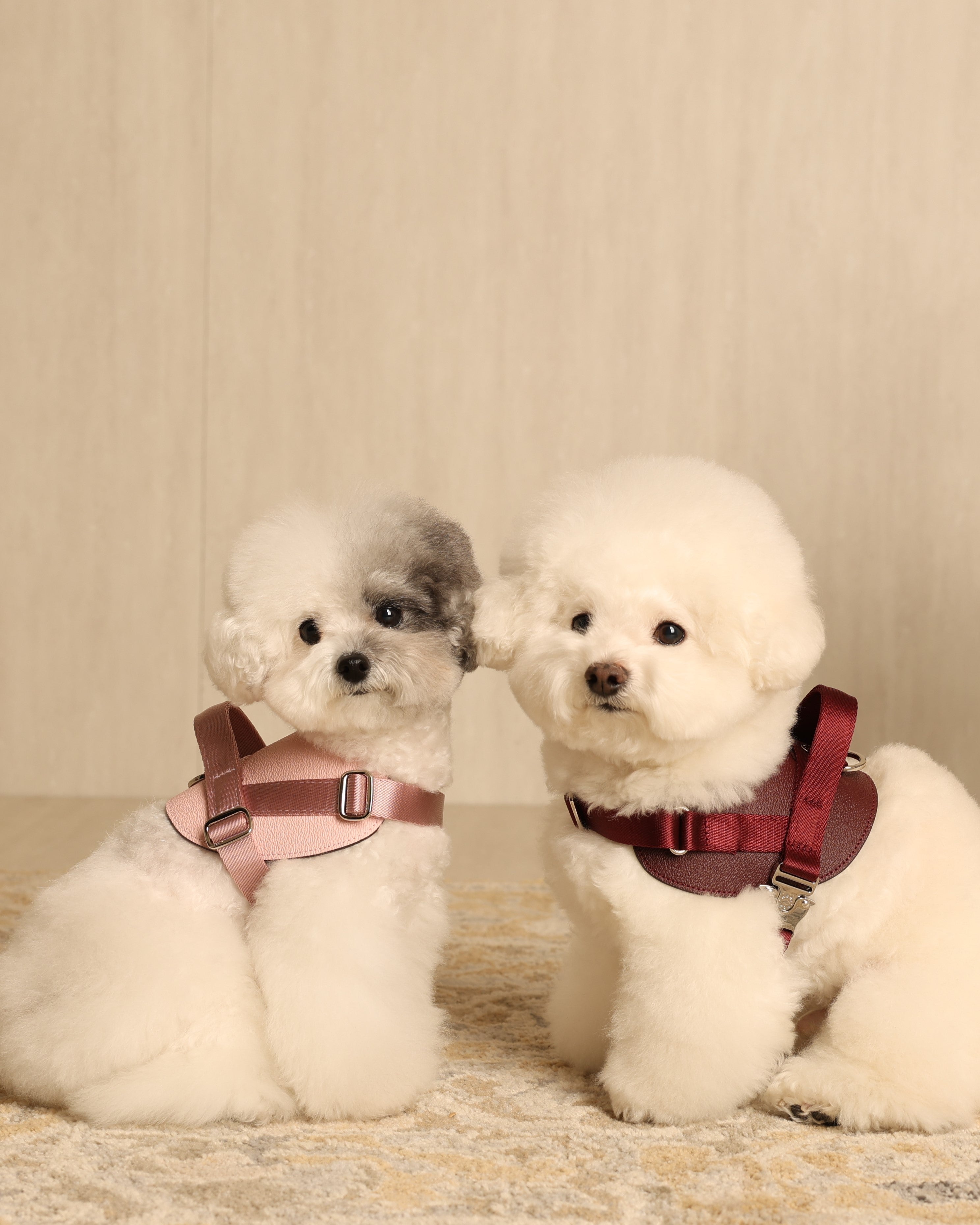 Saddle Harness PINK