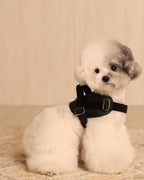 Saddle Harness BLACK