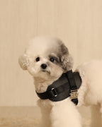 Saddle Harness BLACK