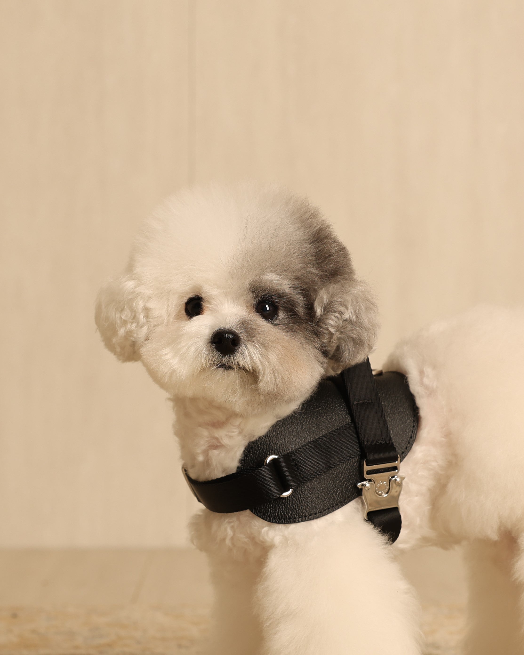 Saddle Harness_BLACK