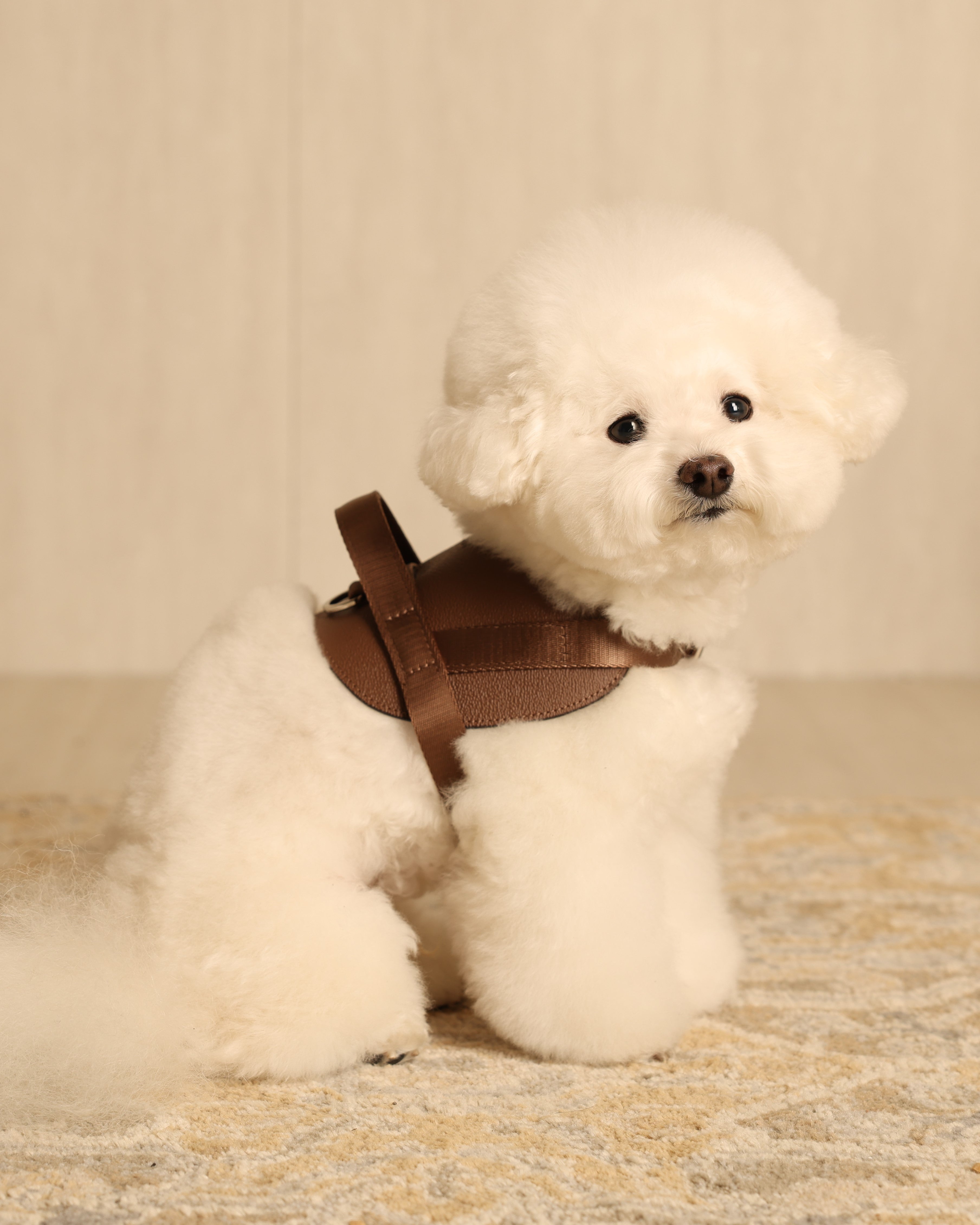 Saddle Harness MOCHA