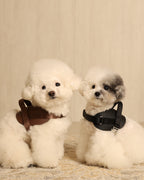 Saddle Harness BLACK