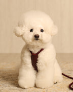 Essential Harness BURGUNDY
