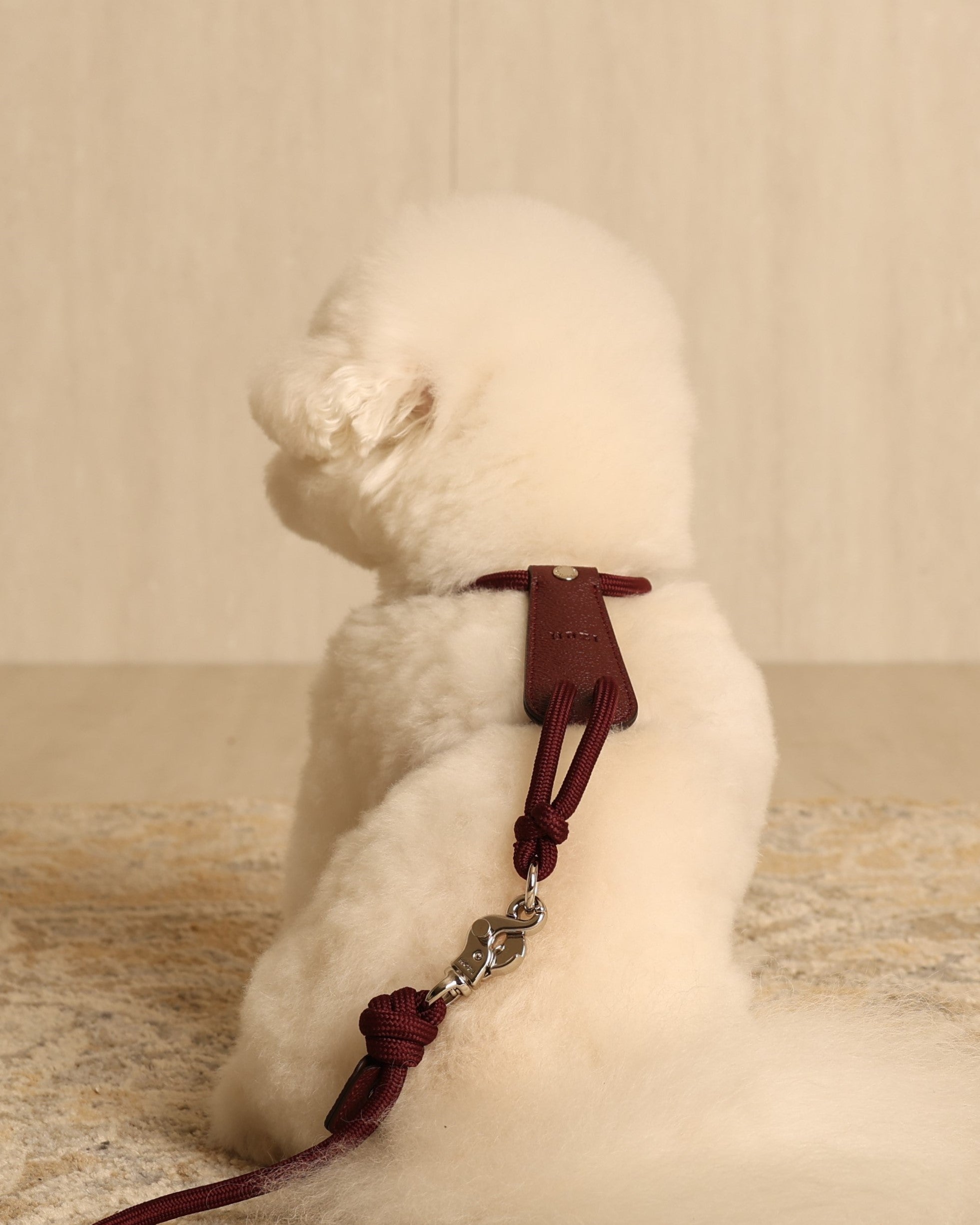 Essential Harness BURGUNDY