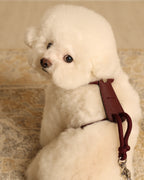 Essential Harness BURGUNDY