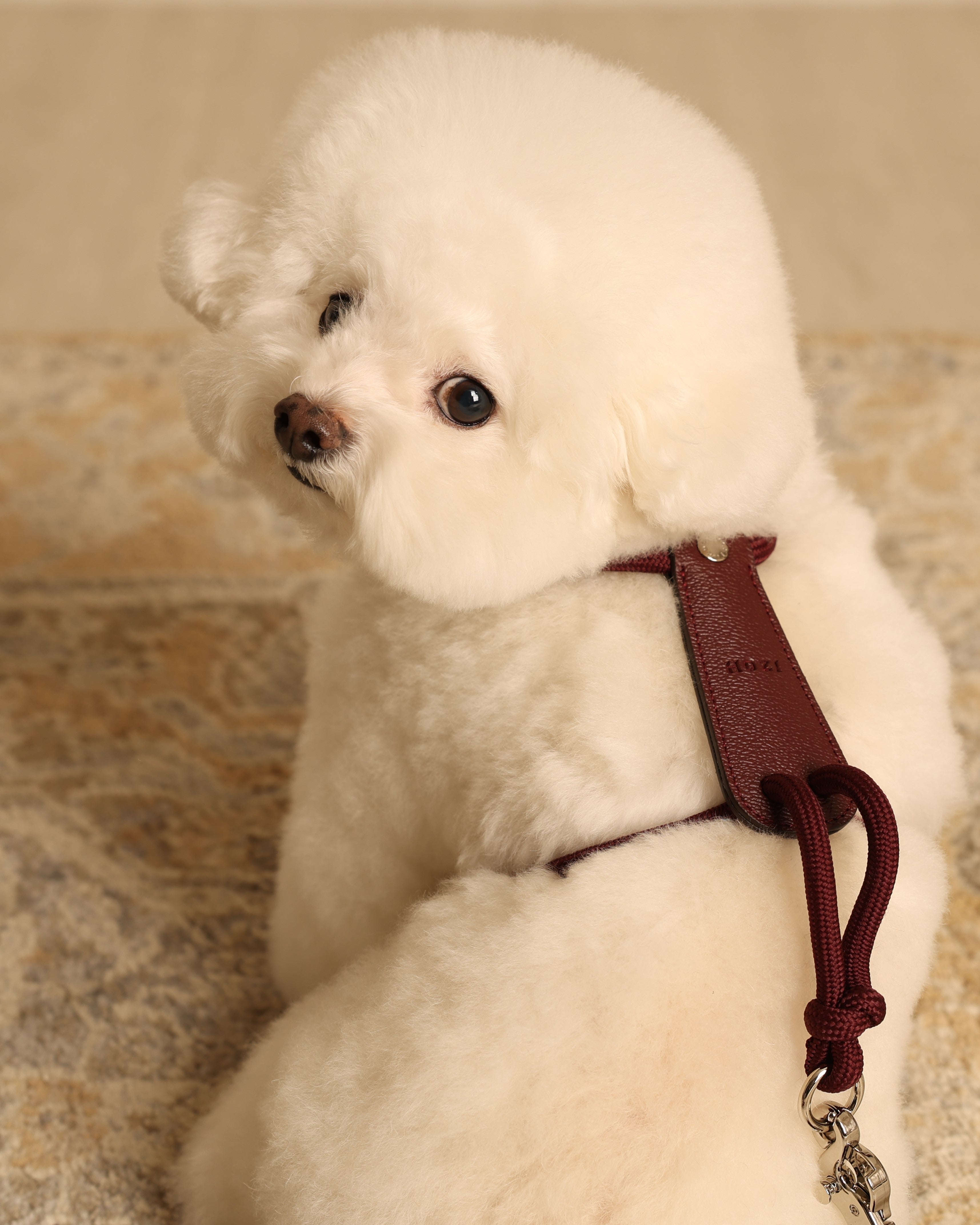 Essential Harness BURGUNDY