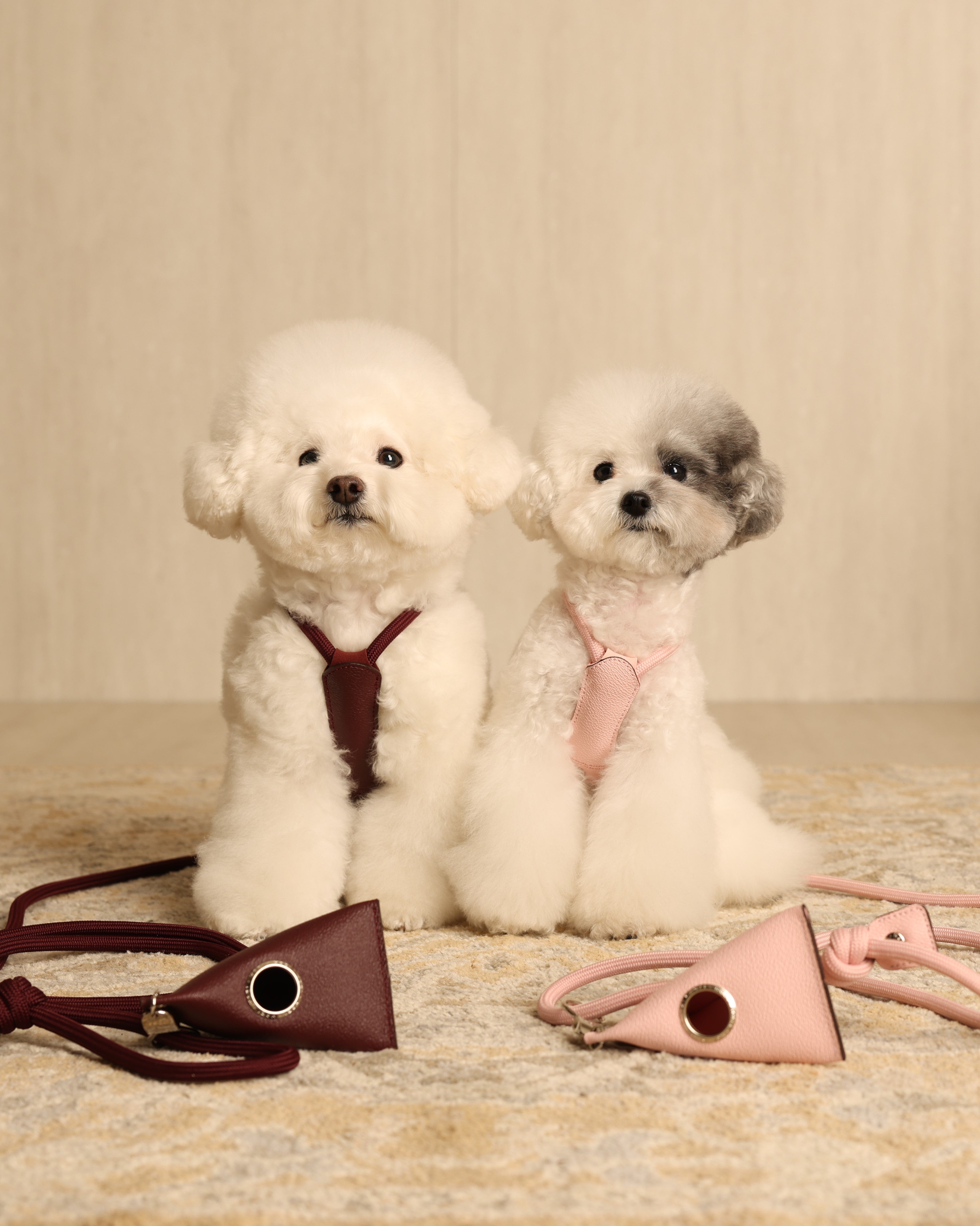 Essential Harness BURGUNDY