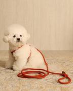 All-In-One Harness ORANGE