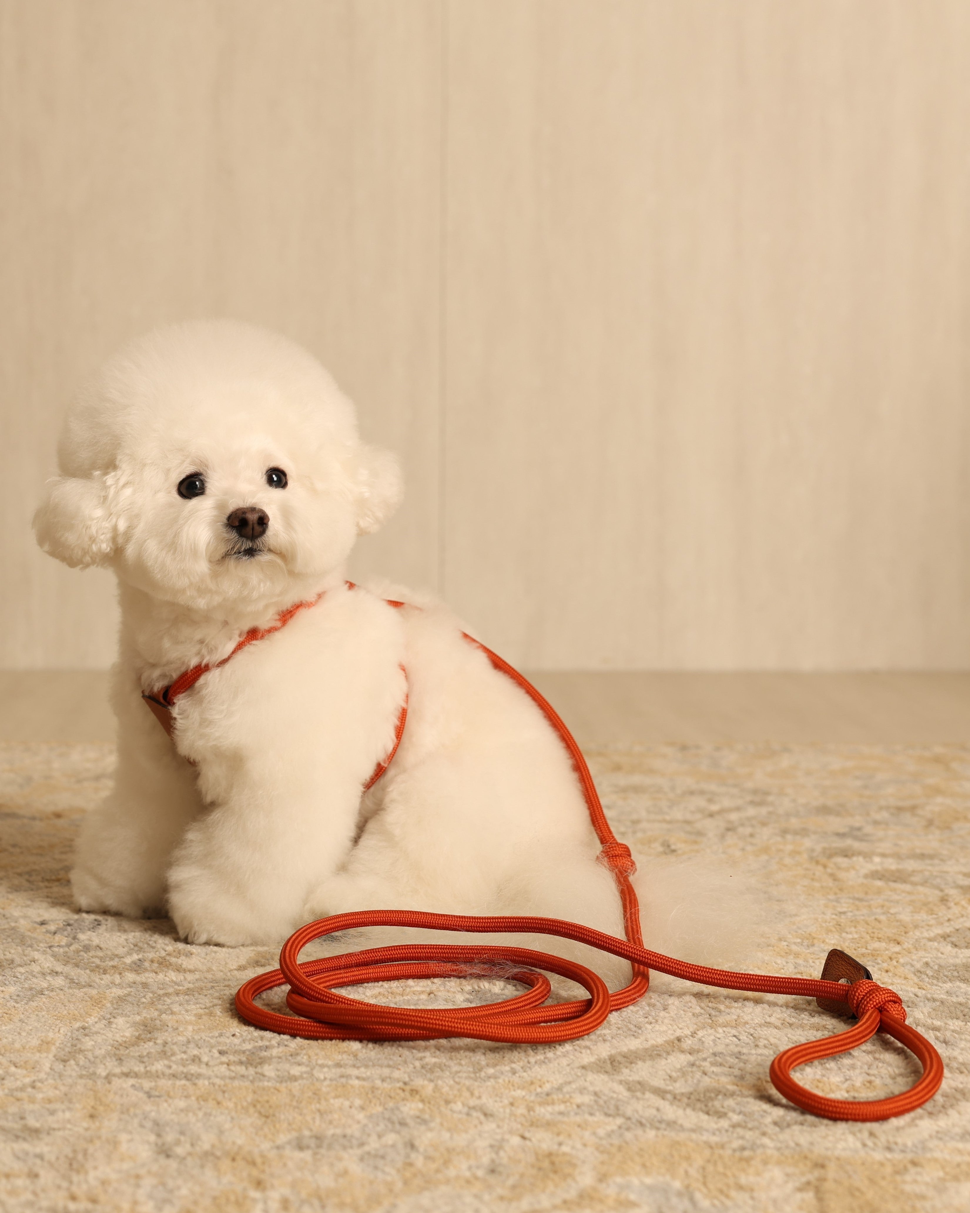All-In-One Harness ORANGE