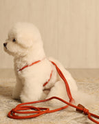 All-In-One Harness ORANGE