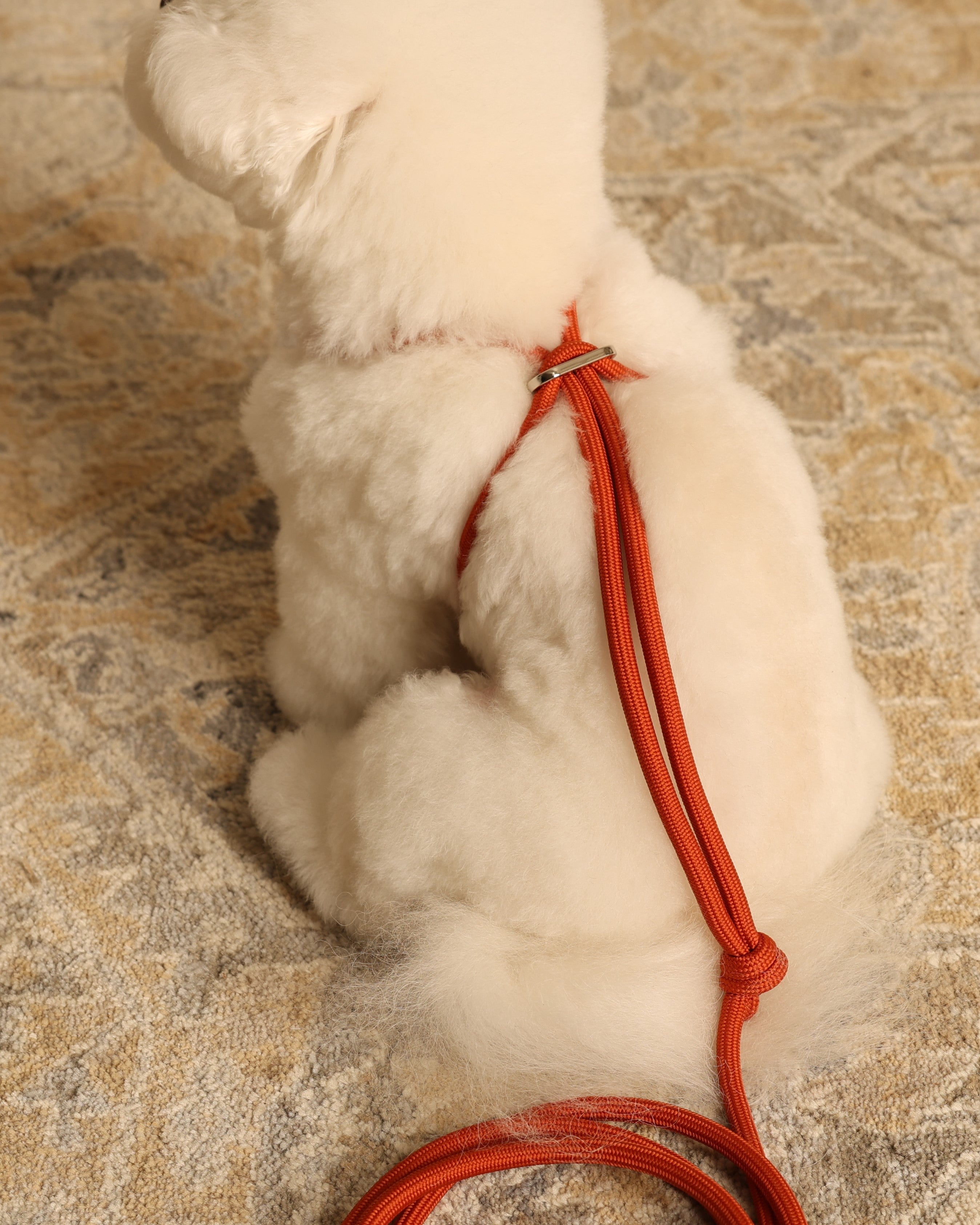 All-In-One Harness ORANGE