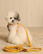 All-In-One Harness MUSTARD
