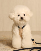 Essential Harness NAVY