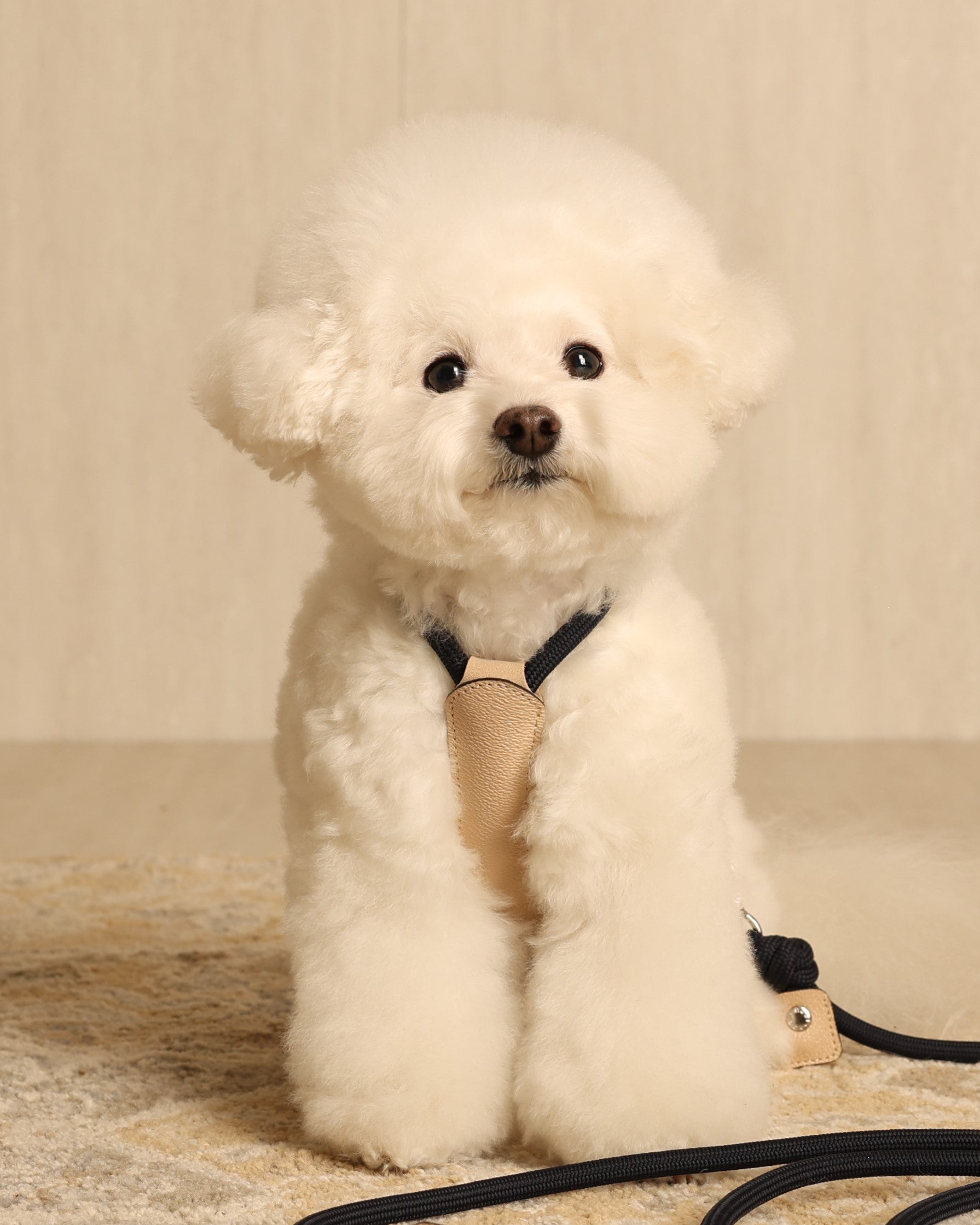 Essential Harness NAVY