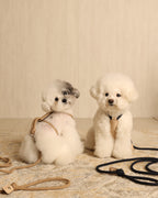 Essential Harness BEIGE