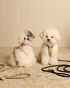Essential Harness NAVY