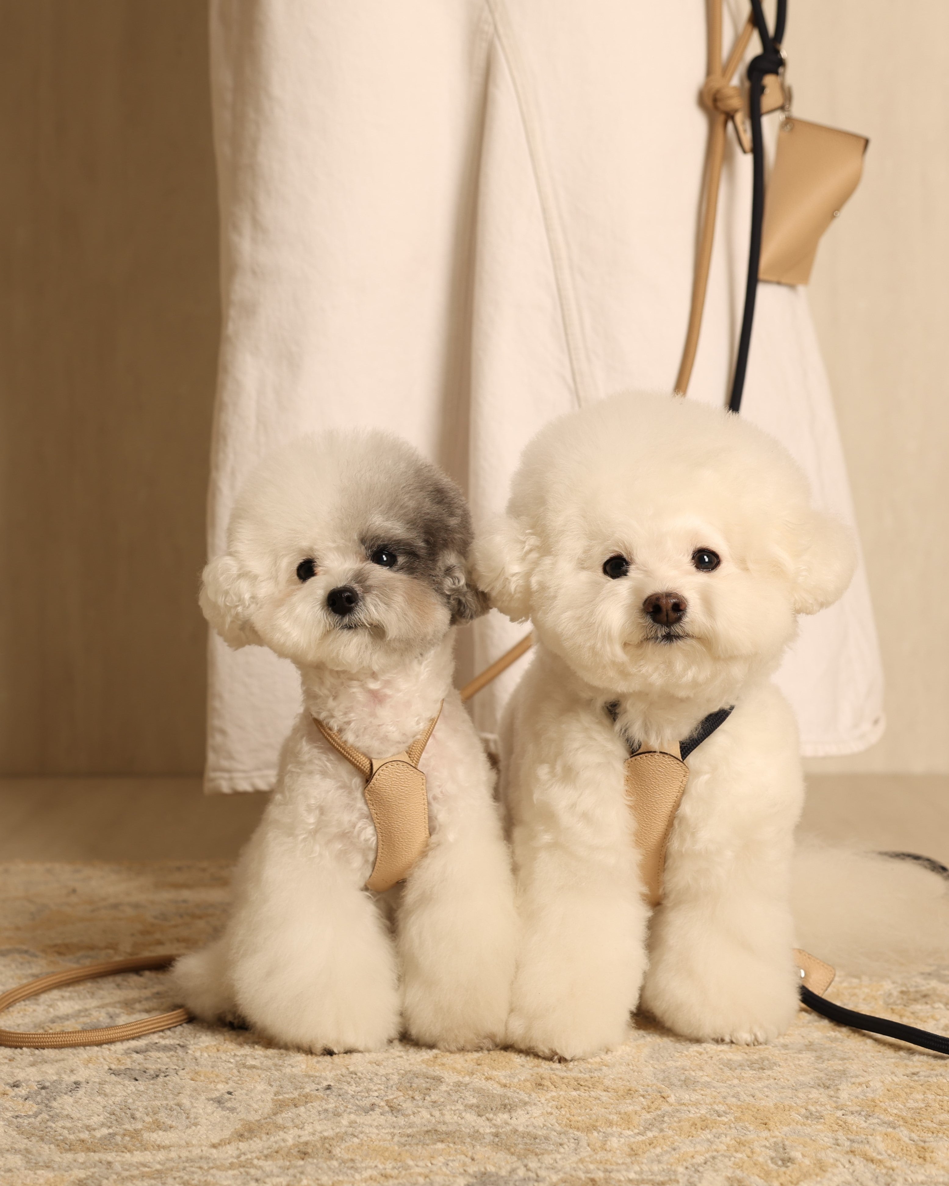 Essential Harness BEIGE
