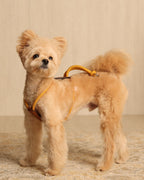 Essential Harness MUSTARD