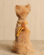 Essential Harness MUSTARD