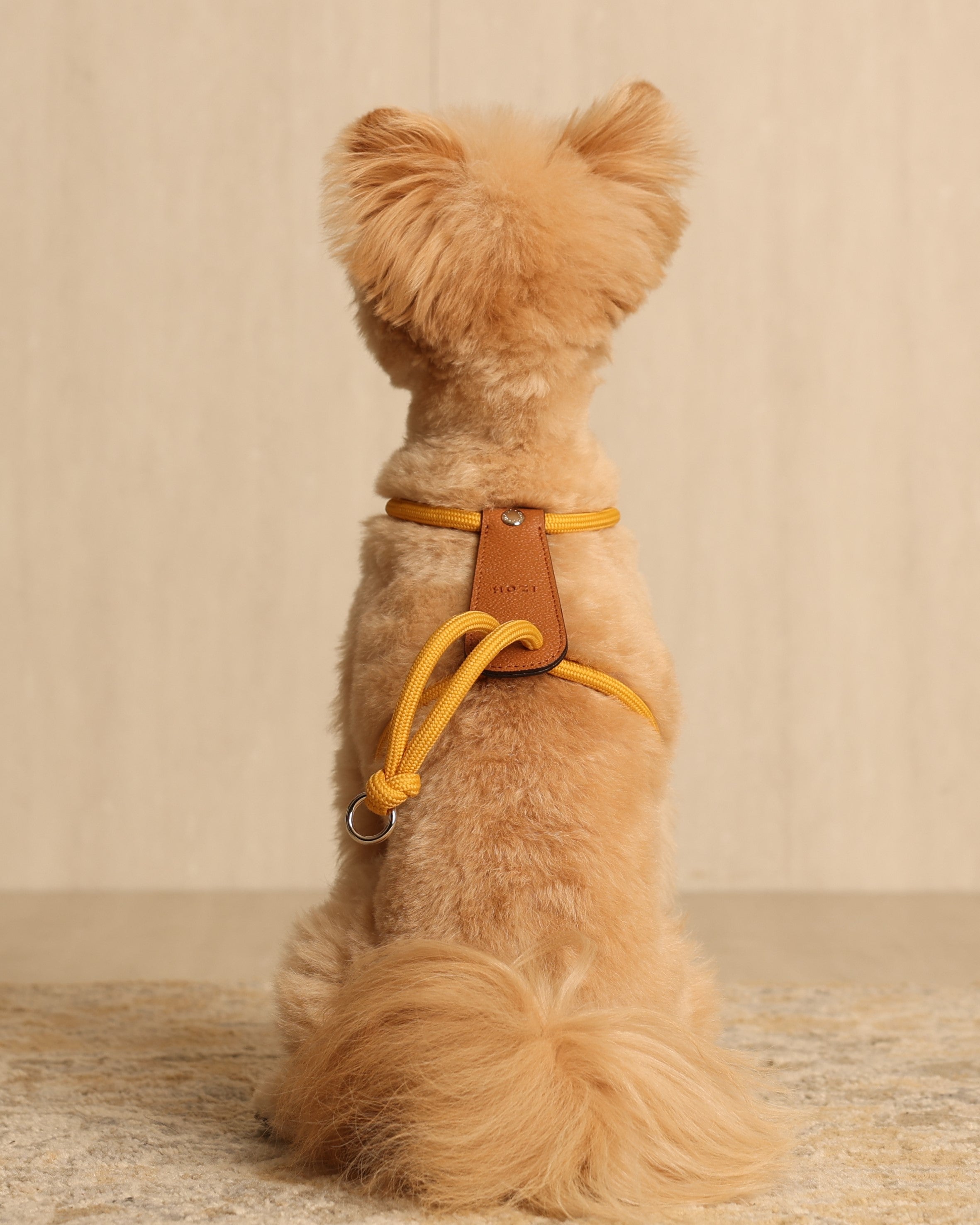 Essential Harness MUSTARD