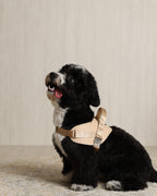 Saddle Harness BEIGE