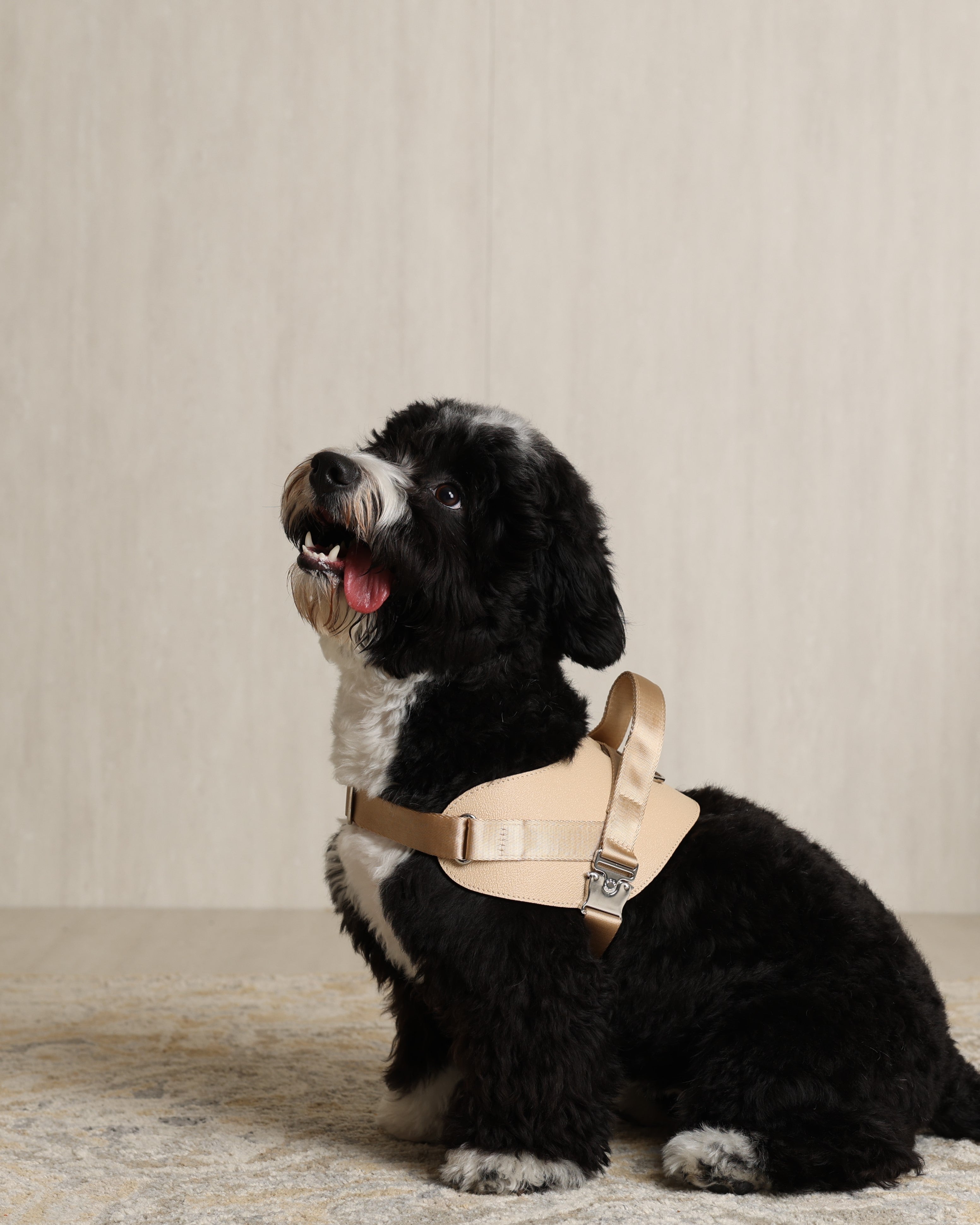 Saddle Harness BEIGE