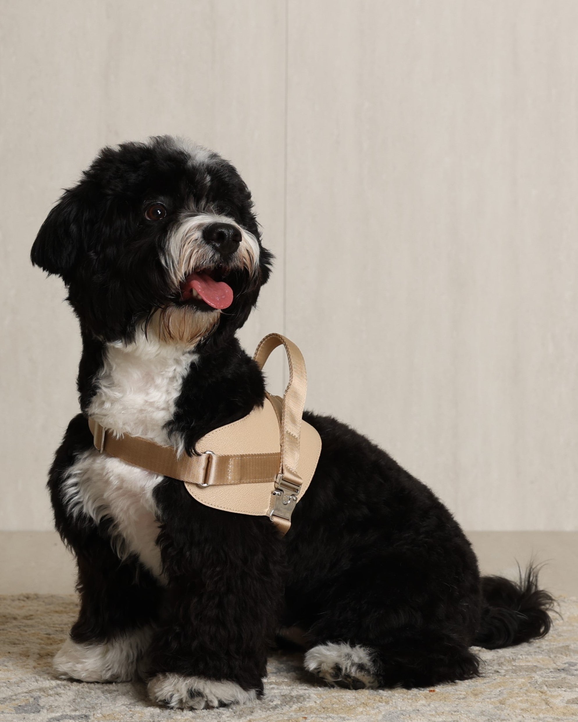 Saddle Harness BEIGE