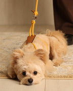 Essential Harness MUSTARD