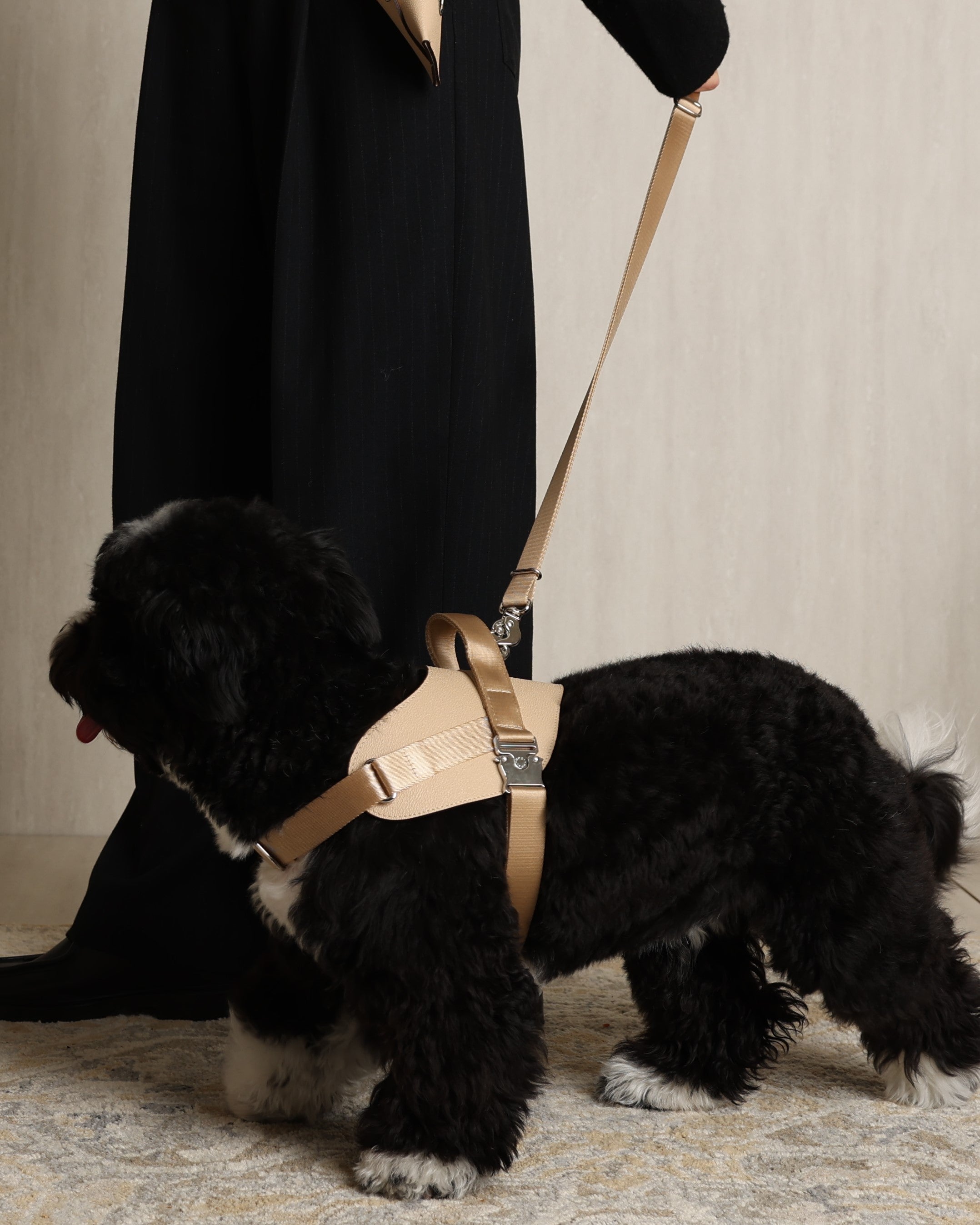 Saddle Harness BEIGE