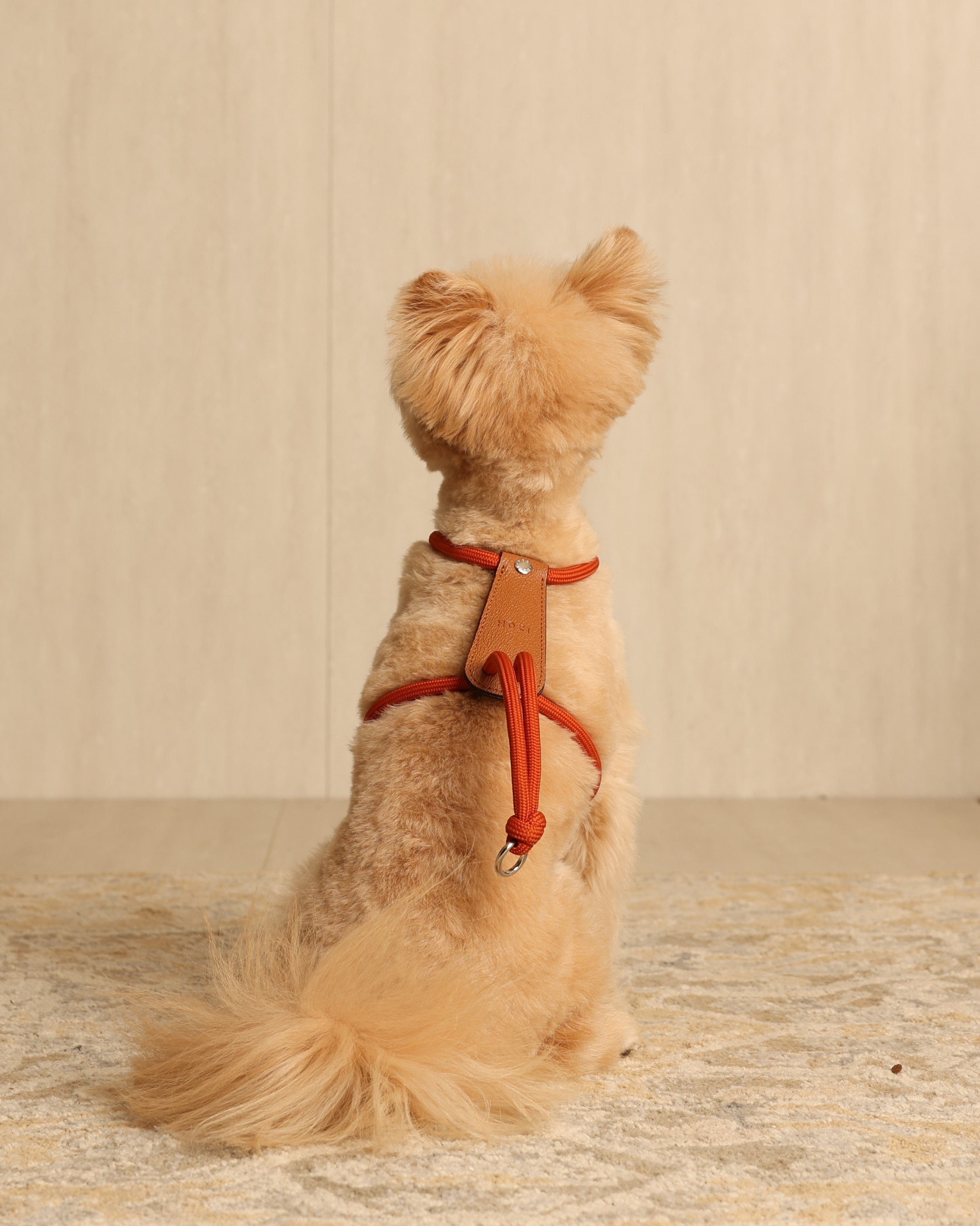 Essential Harness ORANGE