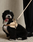 Saddle Harness BEIGE